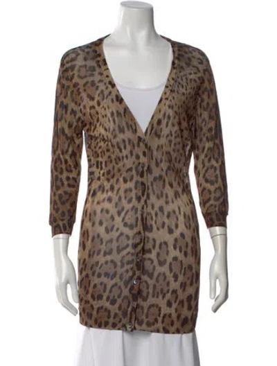 Pre-owned Dolce & Gabbana Animal Print V-neck Sweater In Brown