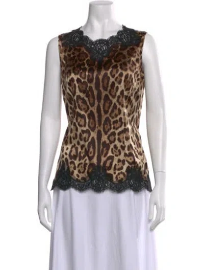 Pre-owned Dolce & Gabbana Animal Print V-neck Top In Brown