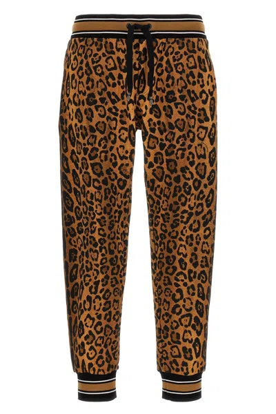 Dolce & Gabbana Animalier Joggers In Brown