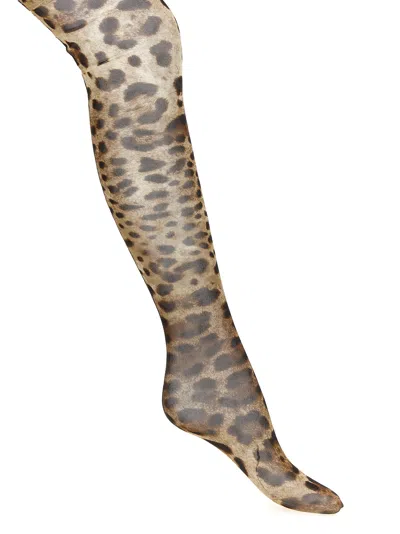 Dolce & Gabbana Animalier Tights In Brown