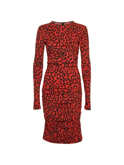 Pre-owned Dolce & Gabbana Animal-print Ruched Midi Dress In Red