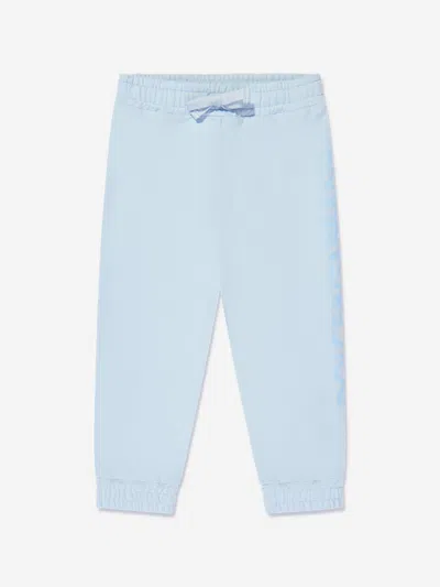 Dolce & Gabbana Baby Boys Joggers In Blue