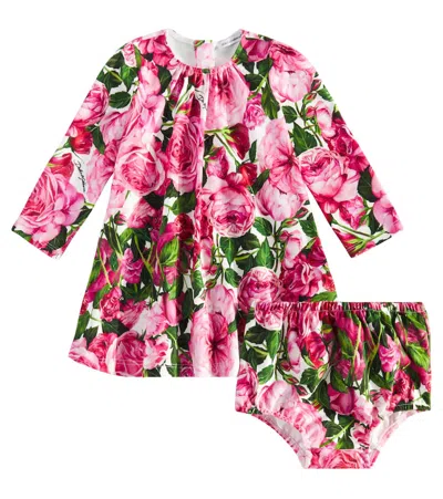 Dolce & Gabbana Baby Cotton Dress And Bloomers Set In Pink