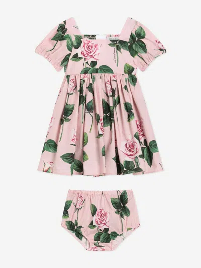 Dolce & Gabbana Baby Girls Rose Print Dress In Pink | ModeSens