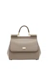 Dolce & Gabbana Flip Shoulder Bag In Clear Mud.