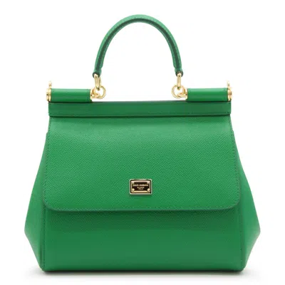 Dolce & Gabbana Bags Green
