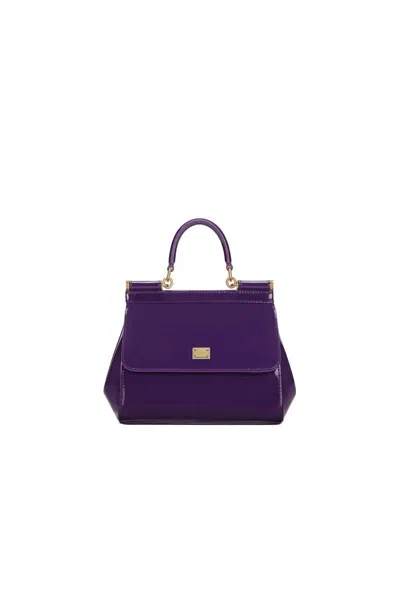 Dolce & Gabbana Bags In Purple