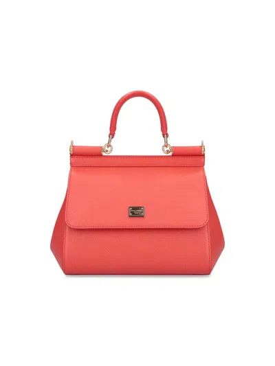 Dolce & Gabbana Bags In Red