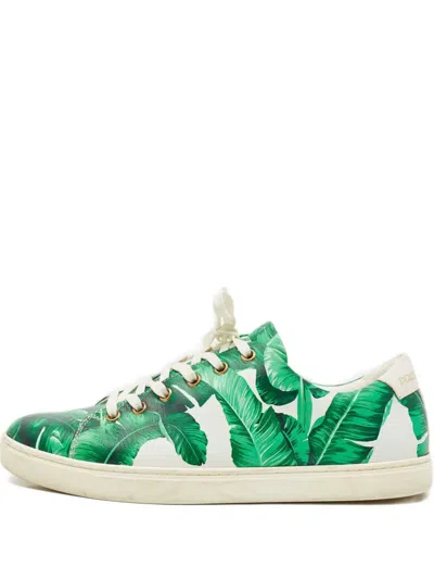 Pre-owned Dolce & Gabbana Banana Leaf Leather Sneakers In Green