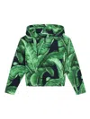 Dolce & Gabbana Banana Leaf-print Cotton Hoodie In Green