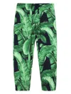 Dolce & Gabbana Banana Leaf-print Cotton Jogging Bottoms In Green