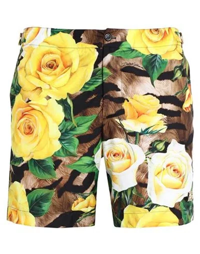 Dolce & Gabbana Beachwear Man Swim Trunks Khaki Size 36 Polyester, Zamak In Beige