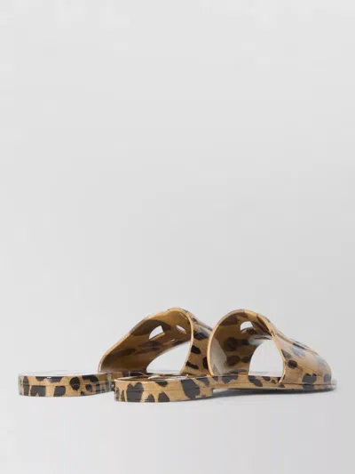 Dolce & Gabbana Beachwear Slides Leopard Pattern Dg Detail In Multi