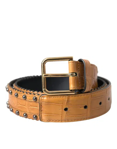 Dolce & Gabbana Beige Alligator Leather Studded Metal Buckle Women's Belt In Brown