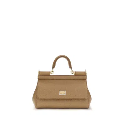 Dolce & Gabbana Beige Calf Leather Bos Taurus Handbag In Brown