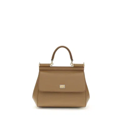 Dolce & Gabbana Beige Calf Leather Bos Taurus Shoulder Bag In Brown
