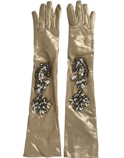 Dolce & Gabbana Beige Satin Crystal Elbow Length Women's Gloves In Brown