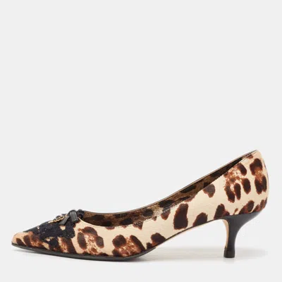 Pre-owned Dolce & Gabbana Beige/cream Leopard Calf Hair Pointed Toe Pumps Size 37