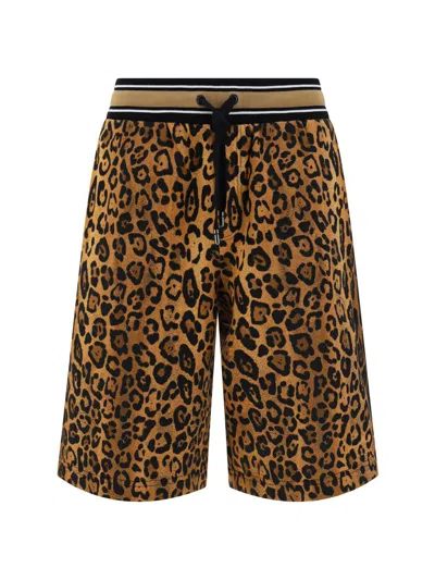 Dolce & Gabbana Bermuda Shorts In Leo Ingrand Marrone