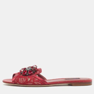 Pre-owned Dolce & Gabbana Bianca Size 39 Burgundy Lace And Lizard Embossed Crystal Embellished Flat Slide