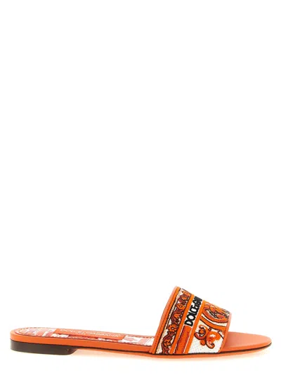 Dolce & Gabbana Bianca Slide In Orange
