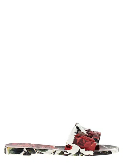Dolce & Gabbana 'bianca' Slides