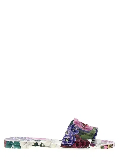 Dolce & Gabbana Bianca Slides In Multicolor