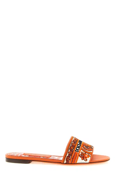 Dolce & Gabbana Bianca Slides Open Toe Flat Sole In Brown