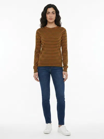 Dolce & Gabbana Striped Wool Sweater In Brown