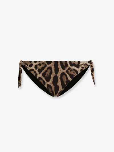 Dolce & Gabbana Bikini Slip With Animal Print In Multi