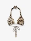 Dolce & Gabbana Leopard Print Halterneck Bikini Top In Multi