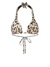Dolce & Gabbana Leopard-print Triangle Bikini Top In Brown