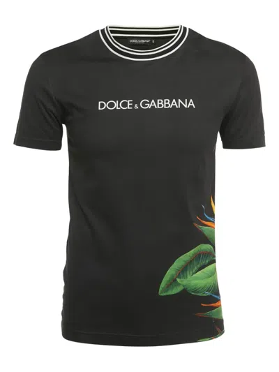 Pre-owned Dolce & Gabbana Bird Of Paradise-print T-shirt In Black