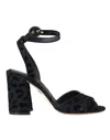 Dolce & Gabbana Sandals