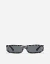Dolce & Gabbana Black Maiolica Sunglasses