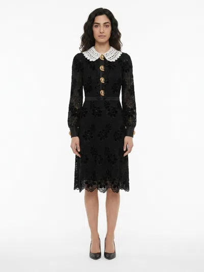 Dolce & Gabbana Lace Collar Dress In Black