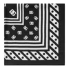 Dolce & Gabbana Black Silk Scarf In Black