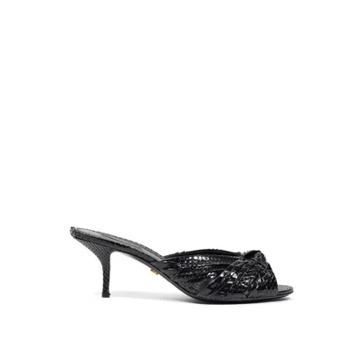 Dolce & Gabbana Black Snake Skin  Women's Sandal