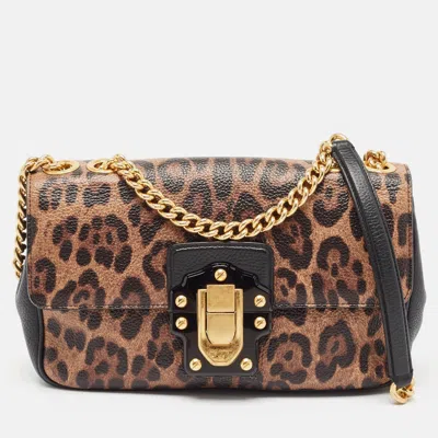 Pre-owned Dolce & Gabbana Black/brown Leopard Print Coated Canvas And Leather Lucia Shoulder Bag