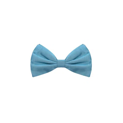 Dolce & Gabbana Silk Bow Tie In Blue