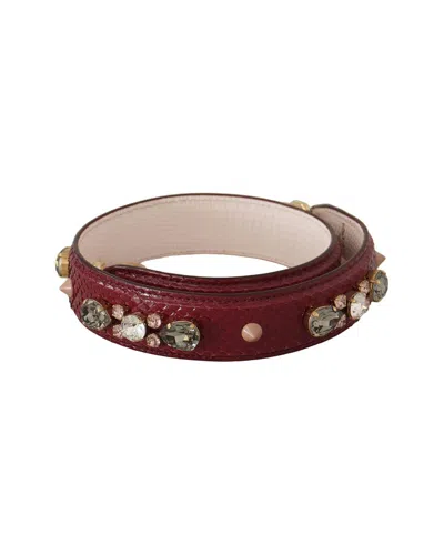 Dolce & Gabbana Bordeaux Leather Crystals Bag Shou In Brown