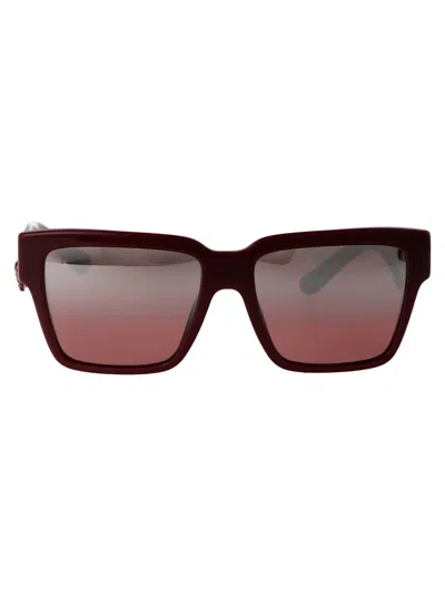 Dolce & Gabbana Bordeuax Acetate Sunglasses In Burgundy