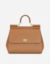 Dolce & Gabbana Borsa A Mano In Brown