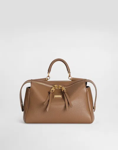 Dolce & Gabbana Borsa A Mano In Brown