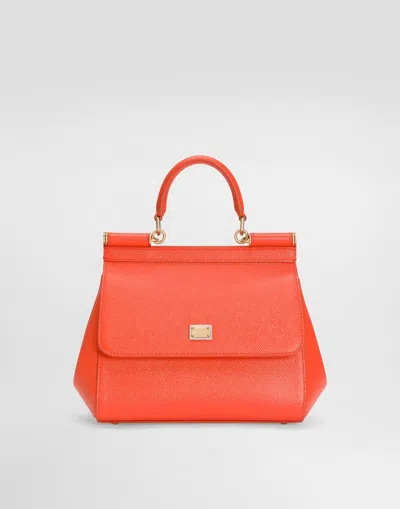 Dolce & Gabbana Borsa A Mano In Orange