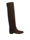 Dolce & Gabbana Over-the-knee Suede Boots Shoes In Brown