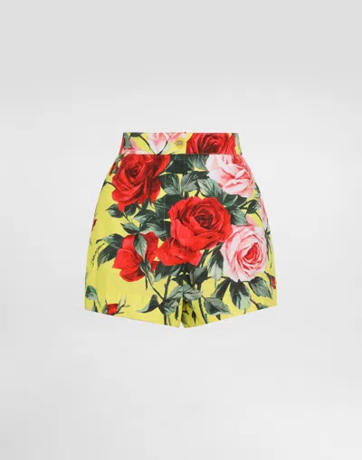 Dolce & Gabbana Bouquet-print Poplin Shorts