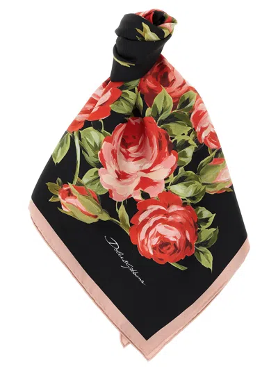 Dolce & Gabbana Bouquet Rose Scarf In Black