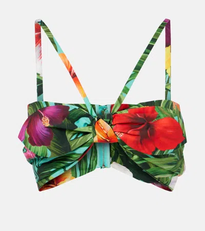 Dolce & Gabbana Bow-detail Floral Cotton Bra Top In Multi