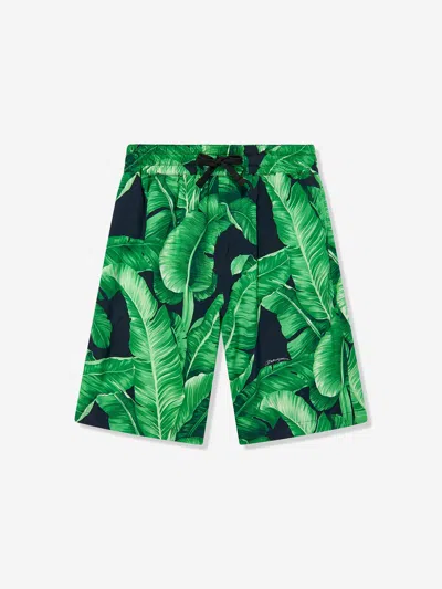 Dolce & Gabbana Kids'  Boys Banana Leaf Bermuda Shorts In Green